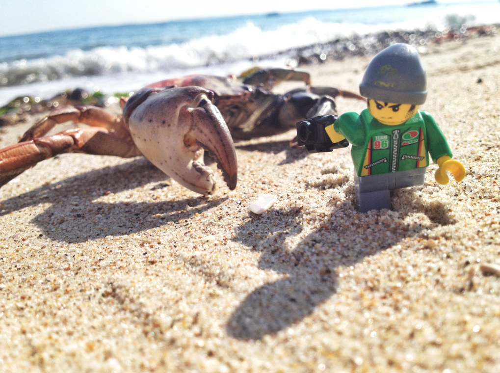 Risk Assessment 출처 : http://www.longexposures.co.uk/legography/h594c1676#h6a49f3a6